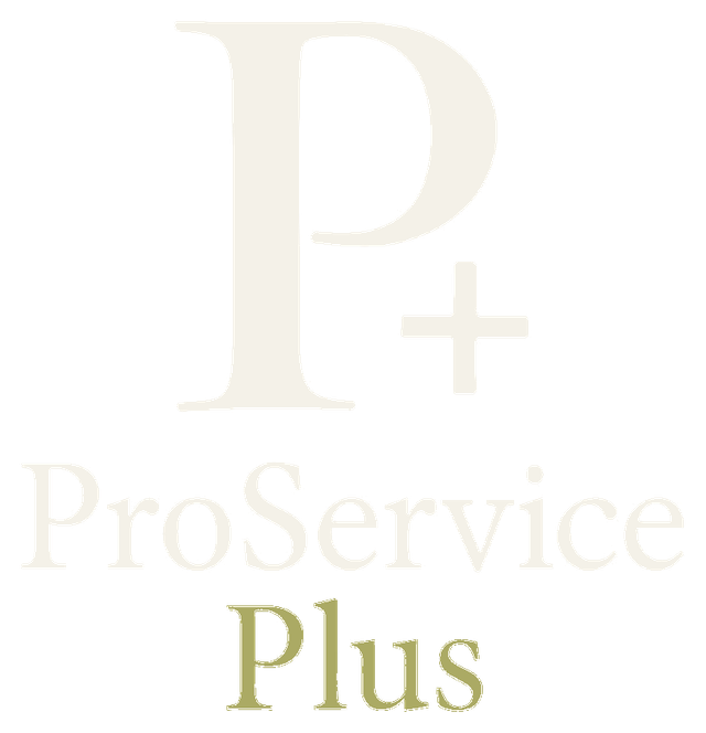 ProServicePlus